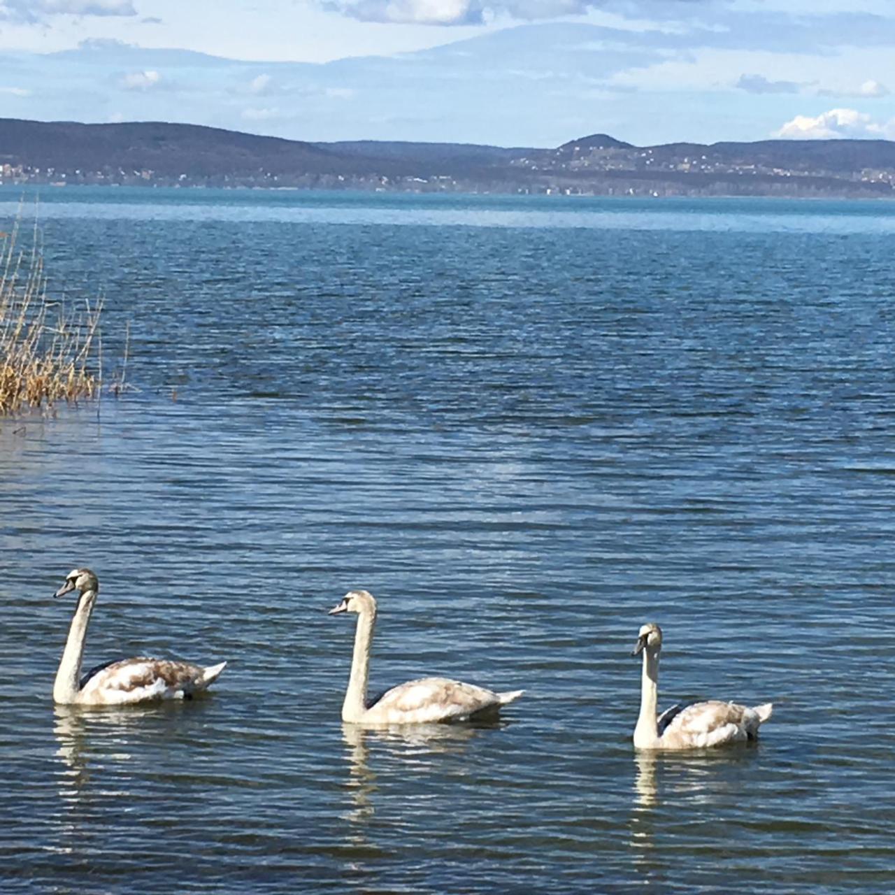Beach Resident Balatonszemes Ngoại thất bức ảnh